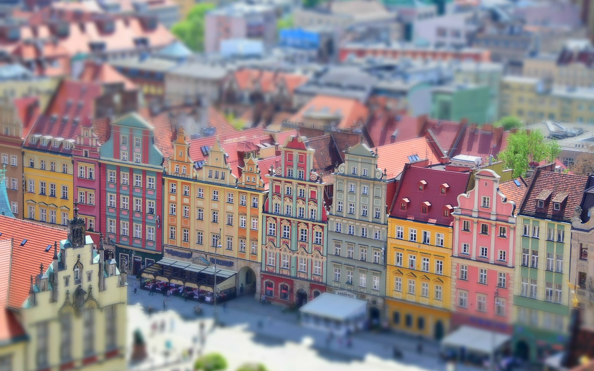 Wrocław miastem wielu kultur 