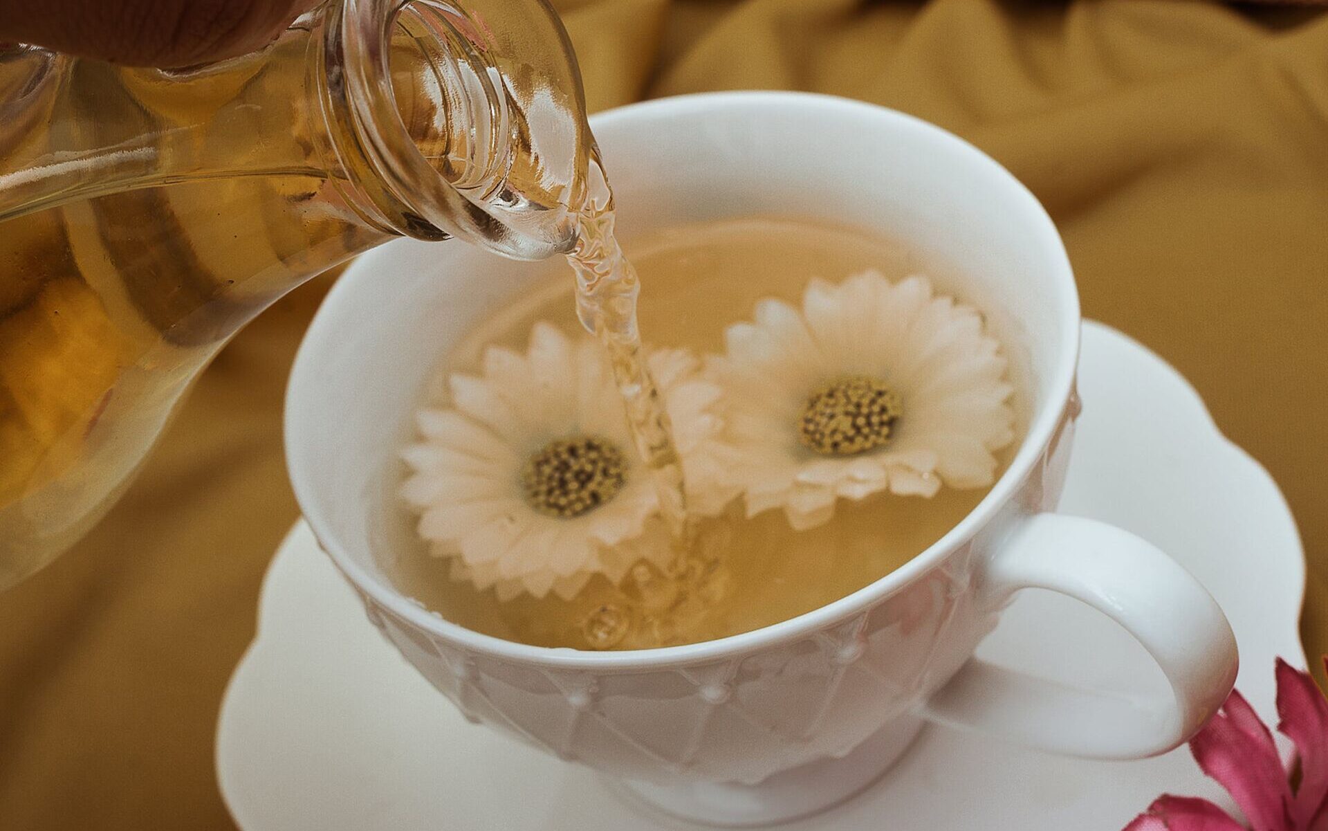 Biała herbata - sposób na piękną skórę. Jak wykorzystać ją w pielęgnacji? /fot. pexels